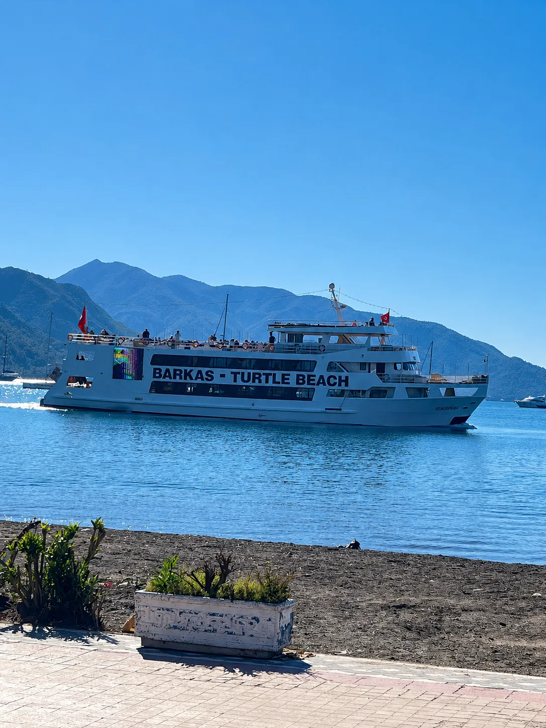 Dalyan River & Turtle Beach Tour daily tour in Turkey