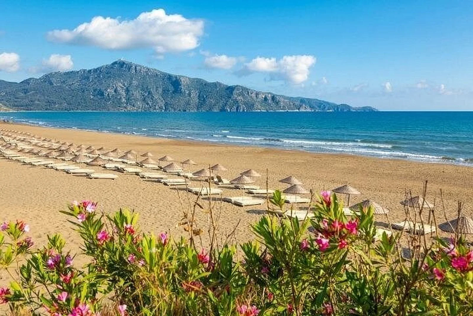 Dalyan Turtle Beach Tour in Marmaris