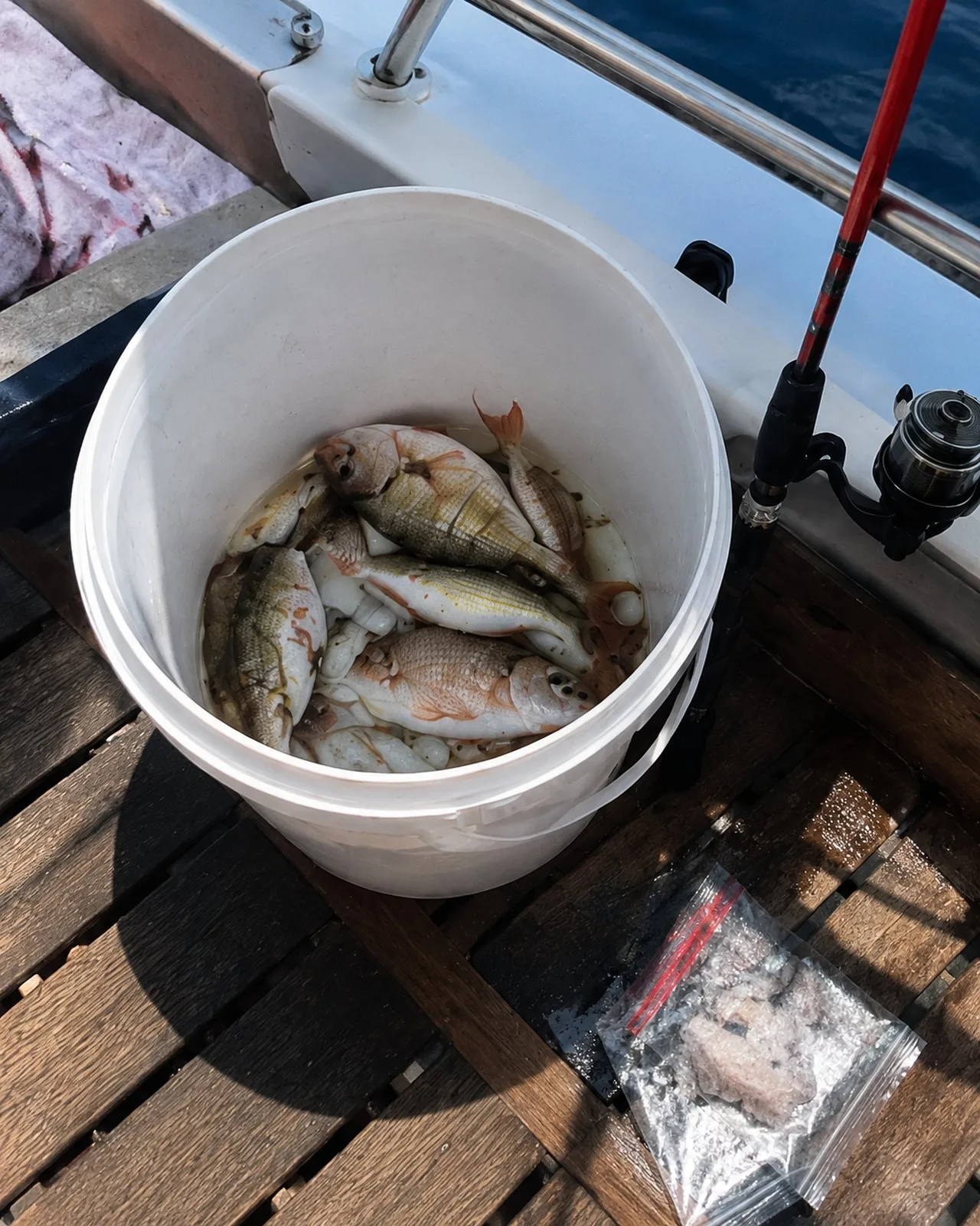Marmaris Fishing Tour in Marmaris