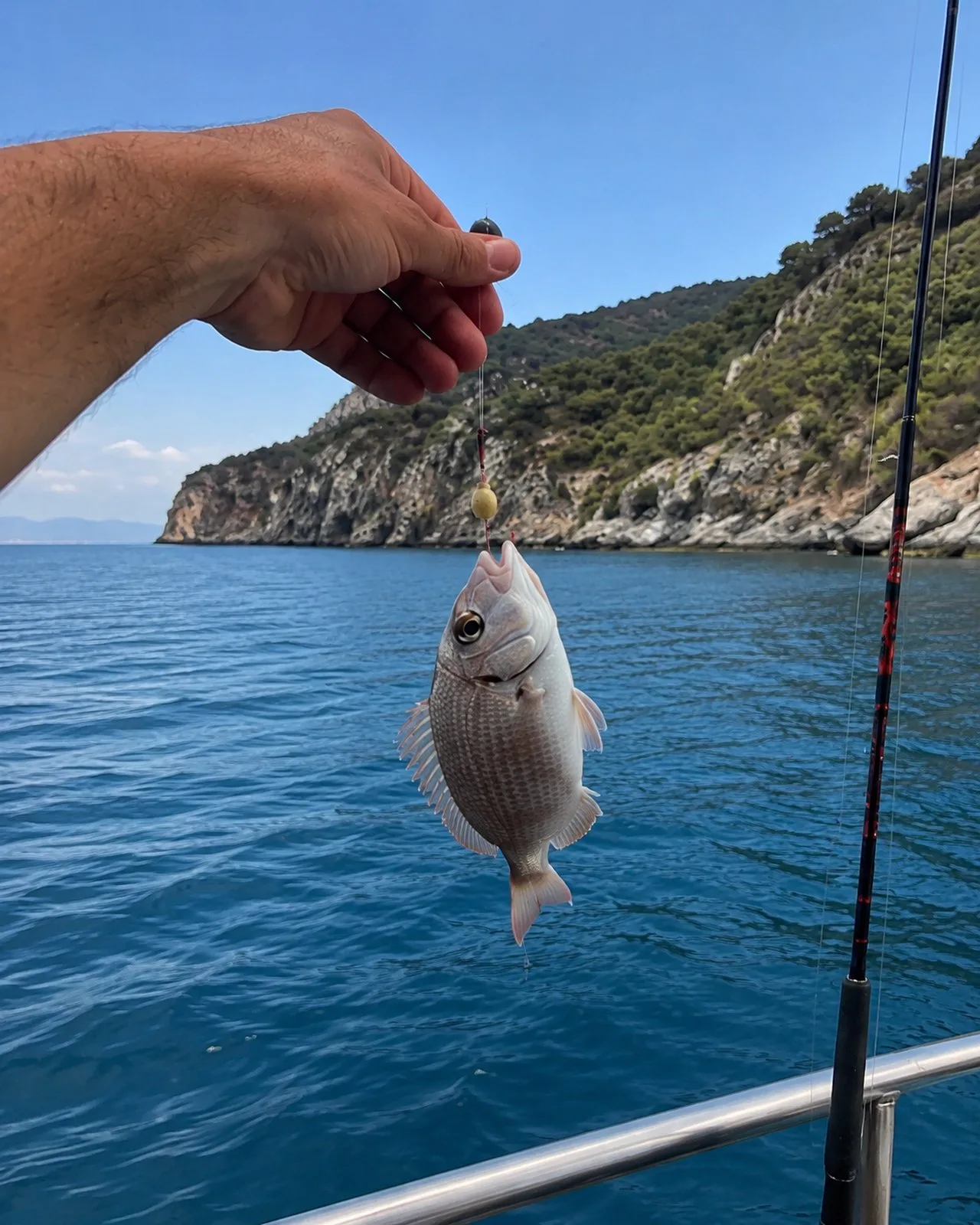 Marmaris Fishing Tour in Marmaris