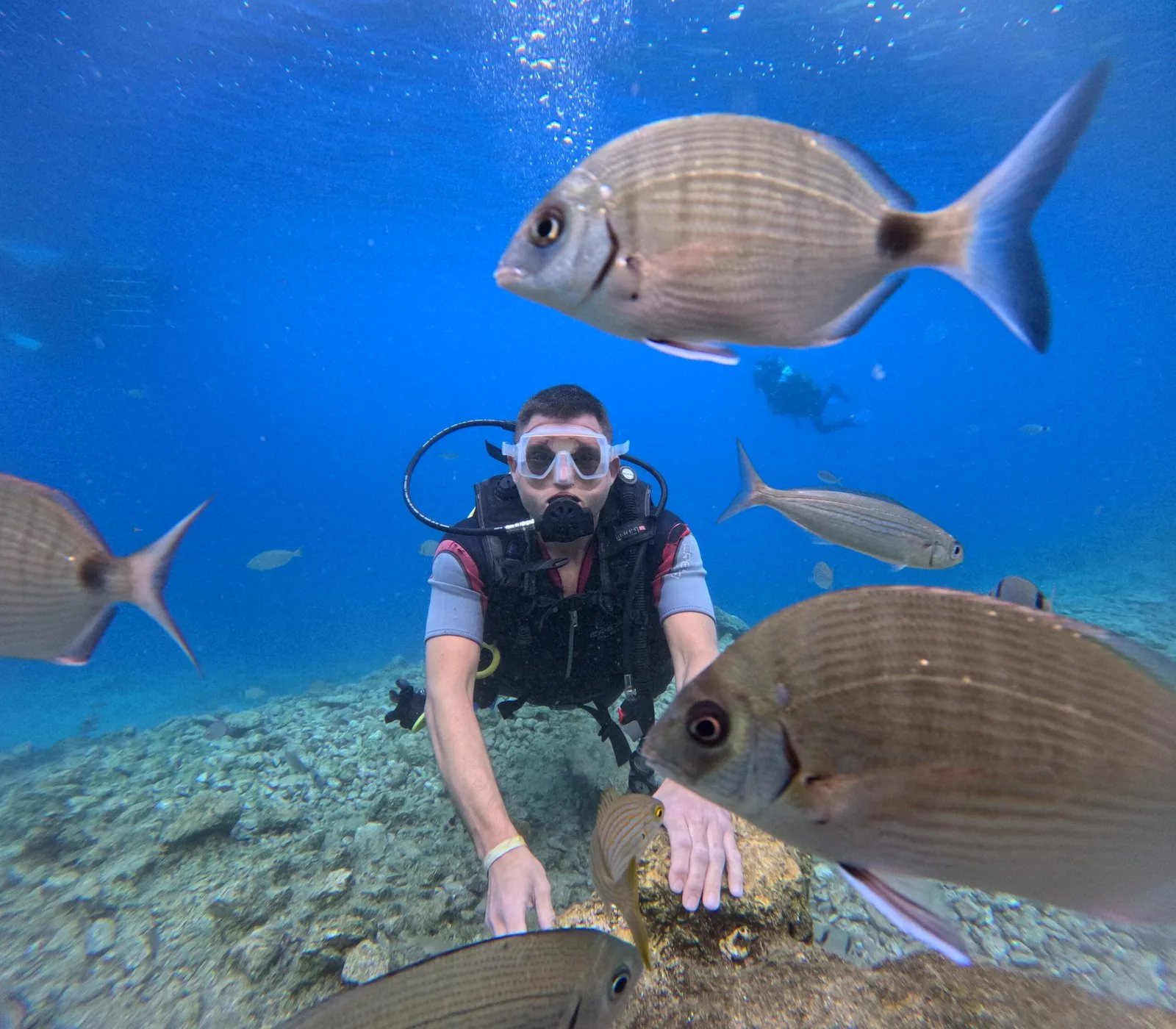 Marmaris Diving Tour daily tour in Marmaris